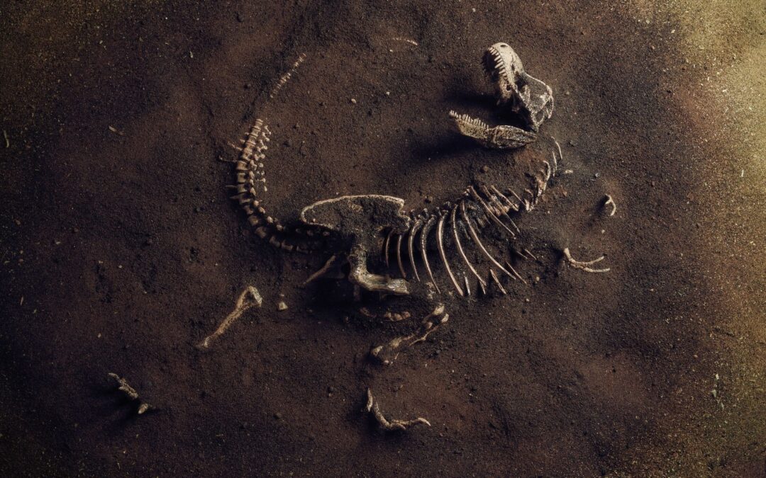 Hva dinosaurfossiler kan lære oss om kreft