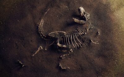 Hva dinosaurfossiler kan lære oss om kreft